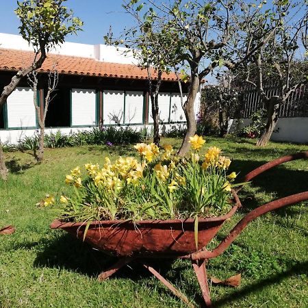 Casa Rural Limon Y Sol Sauzal Exteriér fotografie