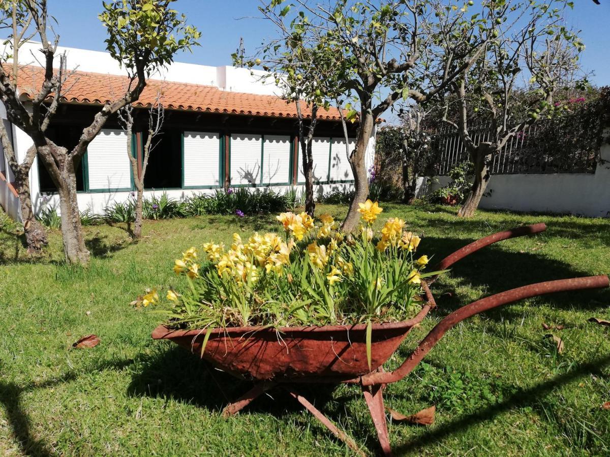 Casa Rural Limon Y Sol Sauzal Exteriér fotografie