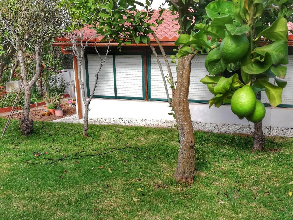 Casa Rural Limon Y Sol Sauzal Exteriér fotografie